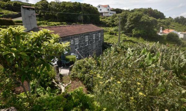 Hotel Adega Do Gato Calhau Exteriér fotografie